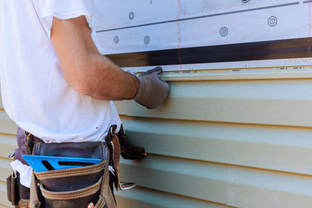 Best Storm Damage Siding Repair  in Memphis, MI